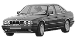 BMW E34 P1145 Fault Code